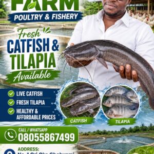 8d78dacf-a5e4-4985-8be1-c31d98b0488f Timi 4 Christ farm poultry and fishery