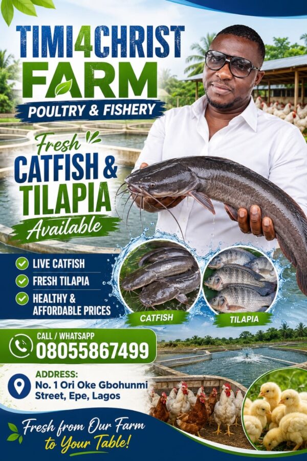 8d78dacf-a5e4-4985-8be1-c31d98b0488f Timi 4 Christ farm poultry and fishery